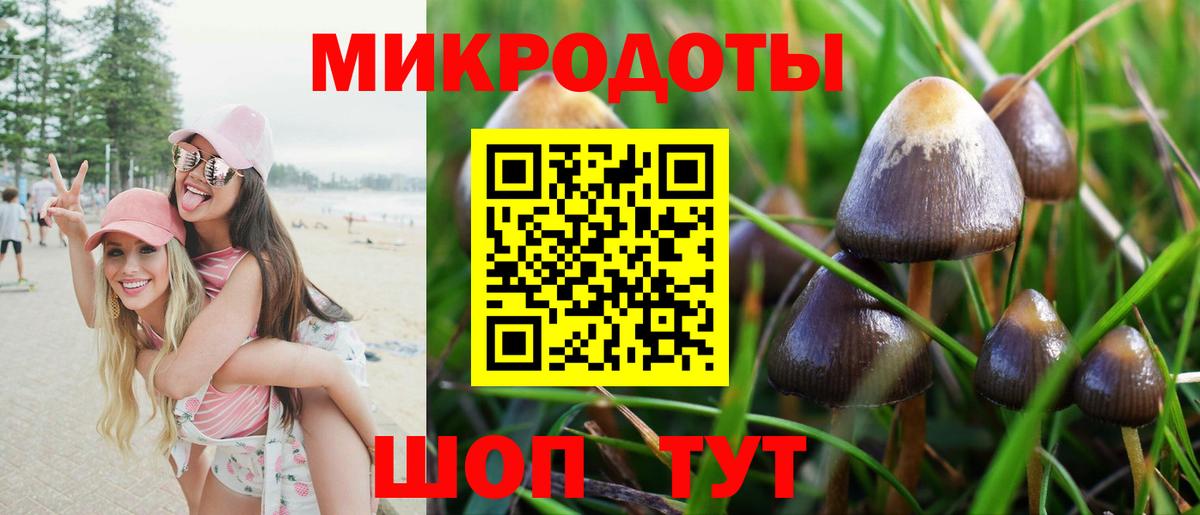 Псилоцибиновые грибы Magic Shrooms  Вход с VPN  Псилоцибиновые грибы мухоморы  Рассказово 